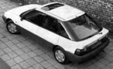 Rover 214 1989 Serie 2
